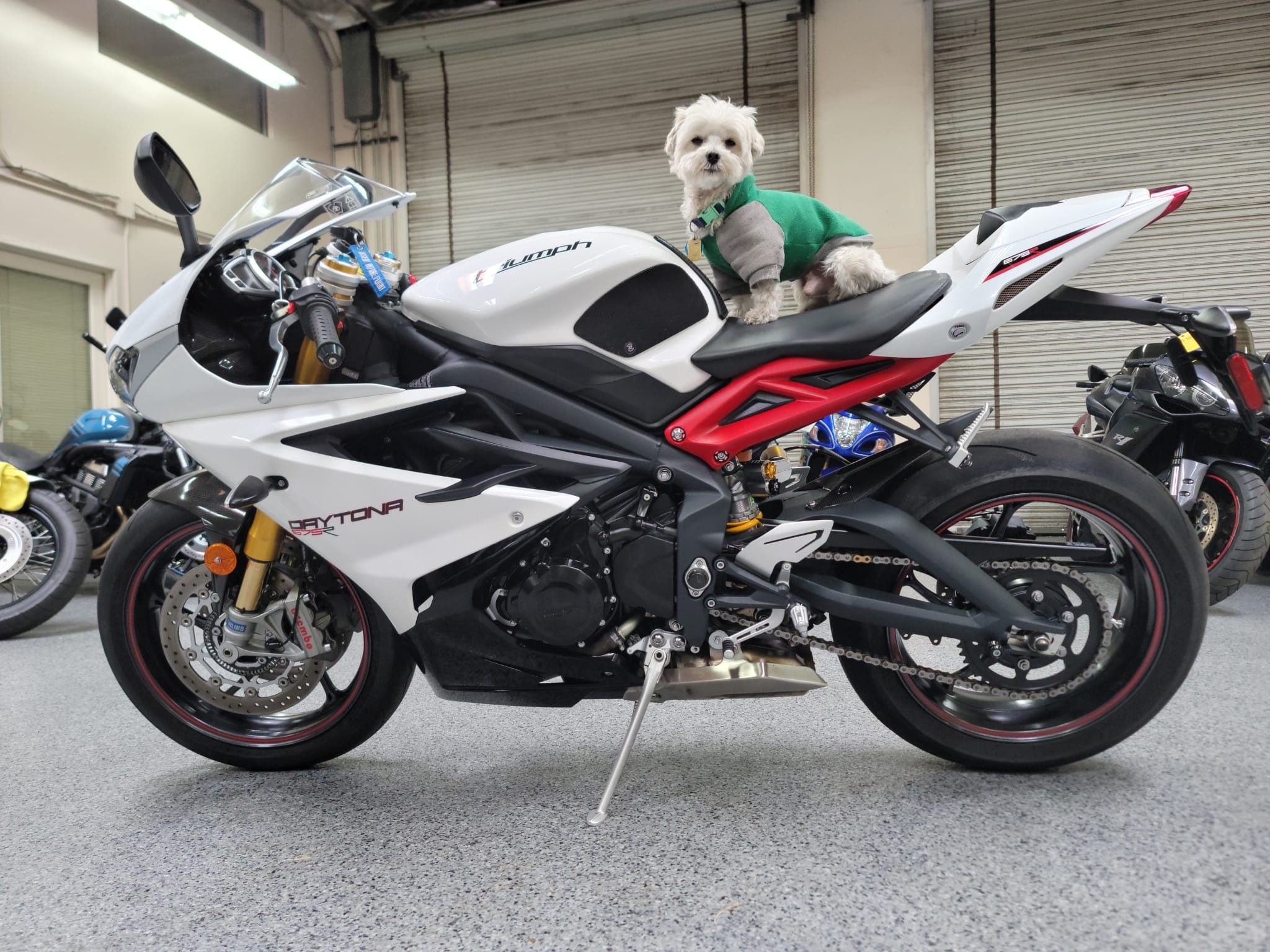 2014 Triumph Daytona 675R 2500 Miles AK Motors