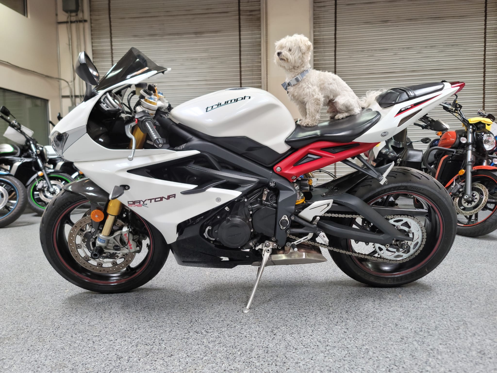 2014 Triumph Daytona 675R 25000 Miles AK Motors