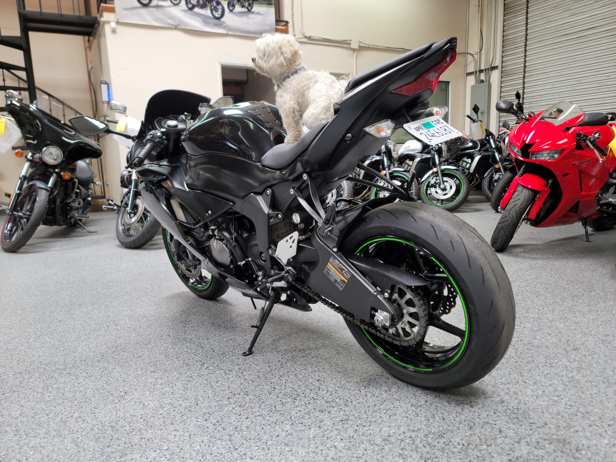 2019 Kawasaki Ninja 636 ZX6R For Sale 5k Miles AK Motors