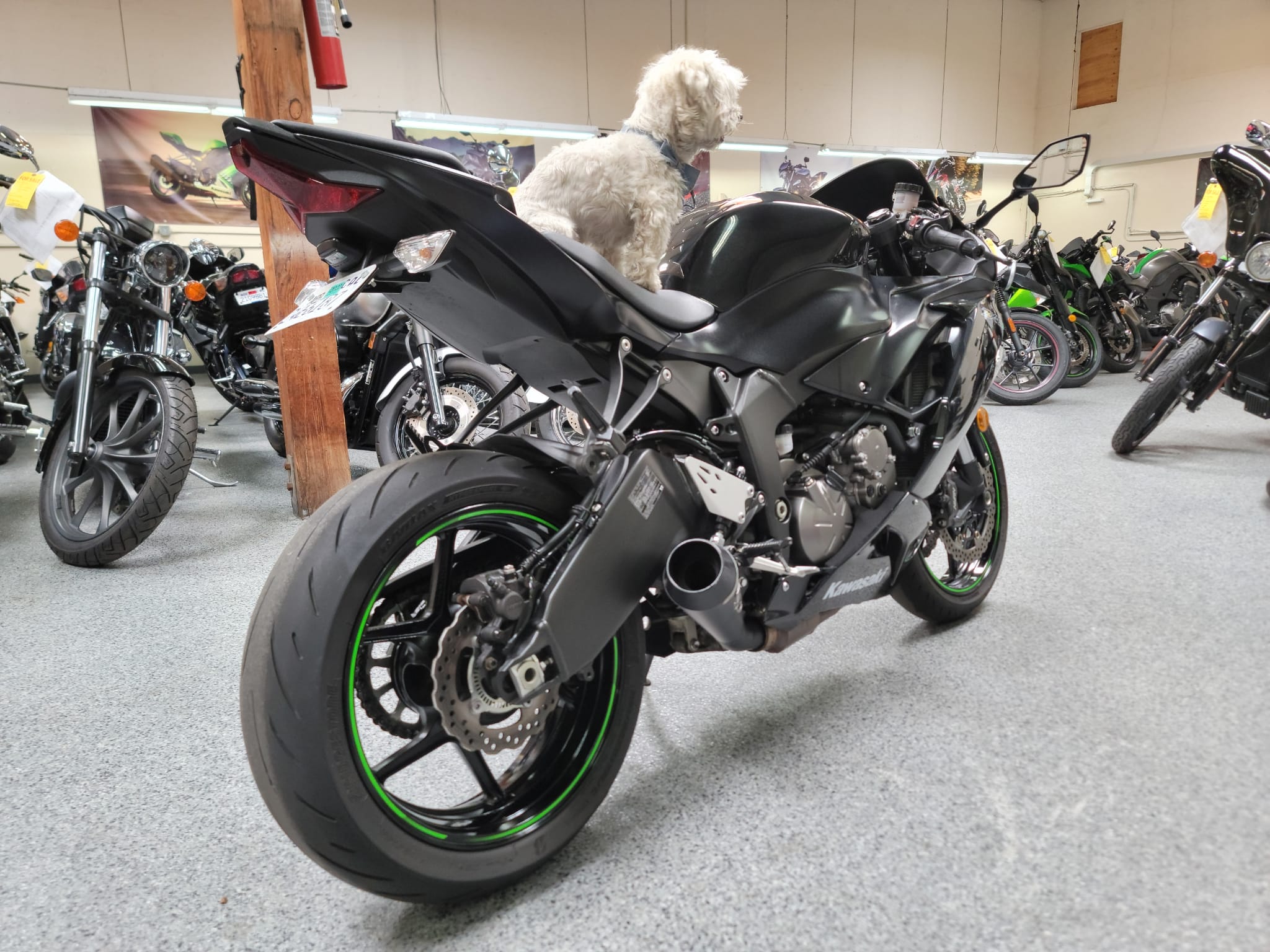 2019 Kawasaki Ninja 636 ZX6R For Sale 5k Miles AK Motors