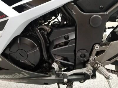 2014 Kawasaki Ninja 300 Special Edition