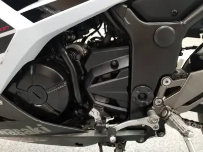 2014 Kawasaki Ninja 300 Special Edition