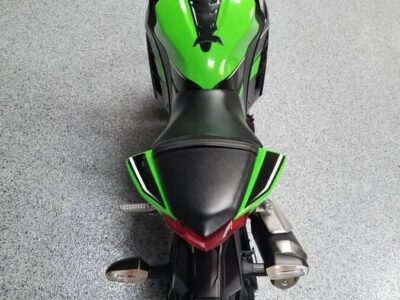 2013 Kawasaki Ninja 300 Special Edition