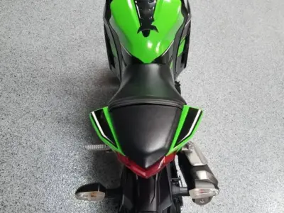 2013 Kawasaki Ninja 300 Special Edition