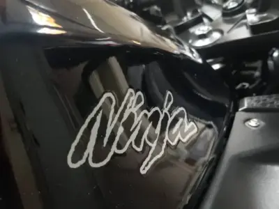 2014 Kawasaki Ninja 300 ABS