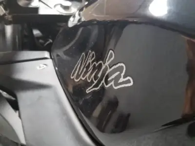 2014 Kawasaki Ninja 300 ABS