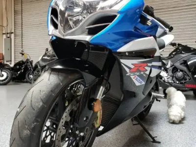 2014 Suzuki GSXR 1000