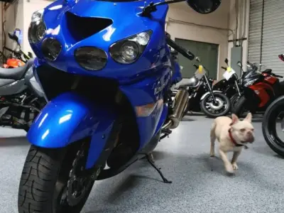 2006 Kawasaki ZX14