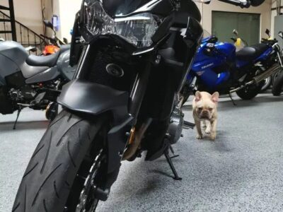 2017 Kawasaki Z900