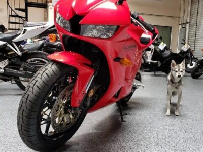 2014 Honda CBR600RR