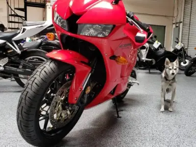 2014 Honda CBR600RR
