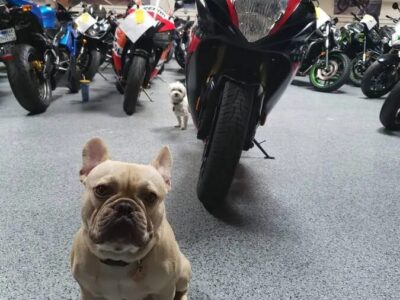2014 Suzuki GSXR 750