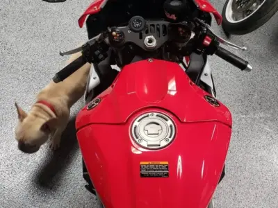 2015 Yamaha R1