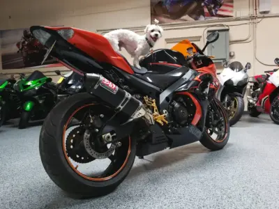 2007 Suzuki GSXR 1000