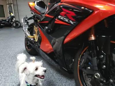 2007 Suzuki GSXR 1000
