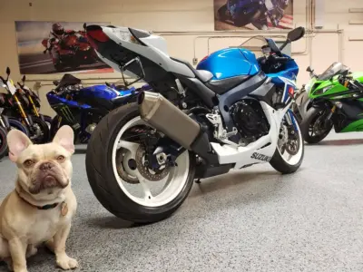 2011 Suzuki GSXR 600