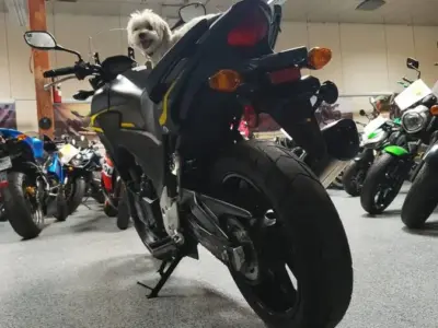2015 Honda CB500X