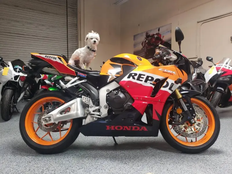 2013 Honda CBR600RR REPSOL EDITION