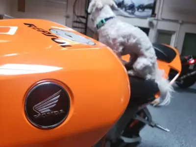 2013 Honda CBR600RR REPSOL EDITION