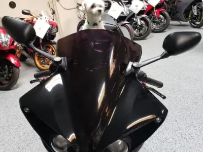 2011 Yamaha R1 Crossplane Raven