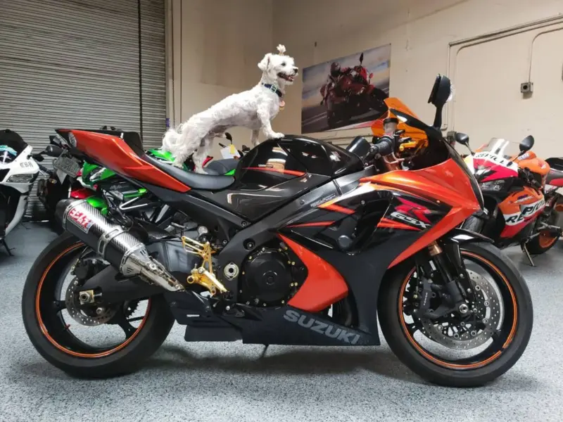 2007 Suzuki GSXR 1000