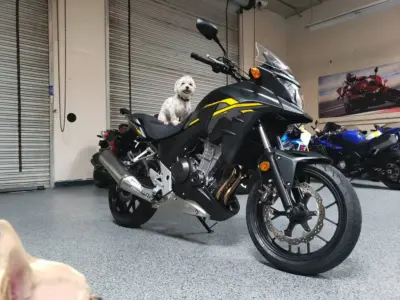 2015 Honda CB500X
