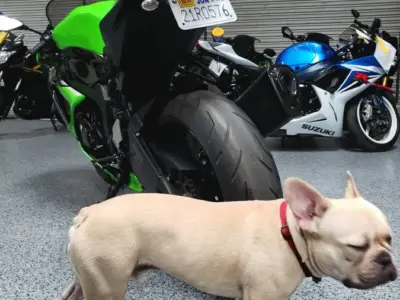2013 Kawasaki Ninja 636 ZX6R ABS