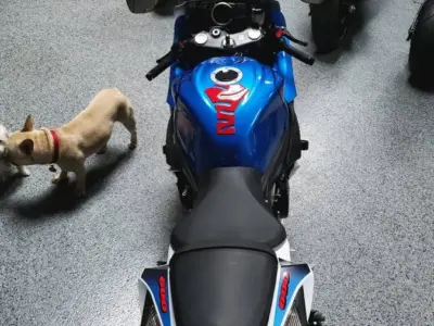 2011 Suzuki GSXR 600