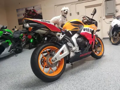 2013 Honda CBR600RR REPSOL EDITION