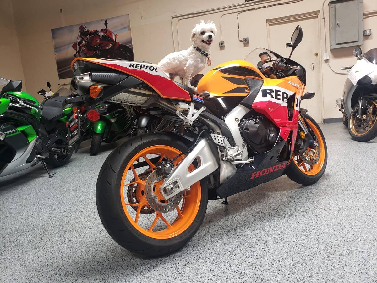 Honda cbr600rr repsol