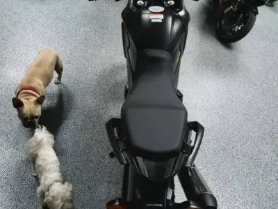 2015 Honda CB500X