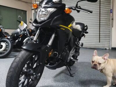 2015 Honda CB500X