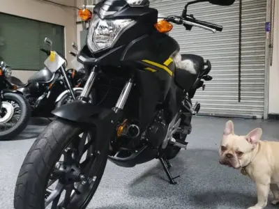 2015 Honda CB500X