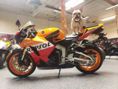 2013 Honda CBR600RR REPSOL EDITION