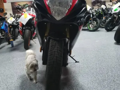 2014 Suzuki GSXR 750