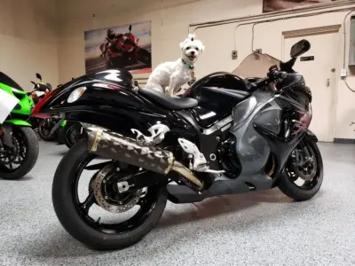 2009 Suzuki Hayabusa GSX1300R