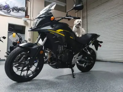 2015 Honda CB500X