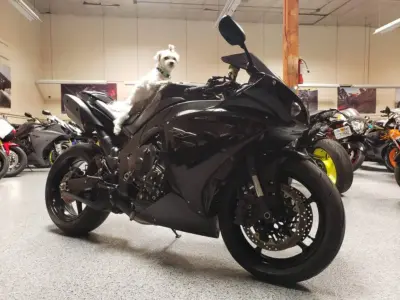 2011 Yamaha R1 Crossplane Raven