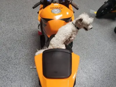 2013 Honda CBR600RR REPSOL EDITION