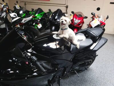 2011 Yamaha R1 Crossplane Raven