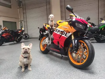 2013 Honda CBR600RR REPSOL EDITION