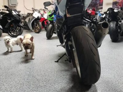 2011 Suzuki GSXR 600