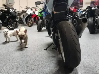 2011 Suzuki GSXR 600