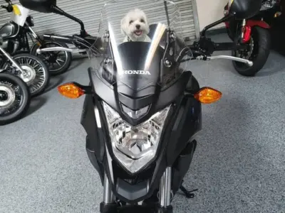 2015 Honda CB500X