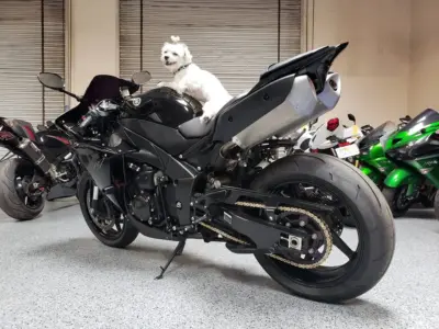 2011 Yamaha R1 Crossplane Raven