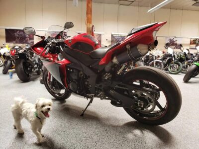 2013 Yamaha R1 Crossplane
