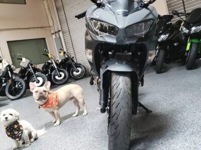 2019 Kawasaki Ninja 400 ABS
