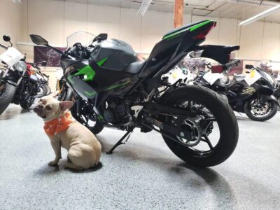 2019 Kawasaki Ninja 400 ABS