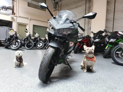 2019 Kawasaki Ninja 400 ABS