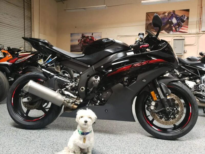 2015 Yamaha R6 RAVEN
